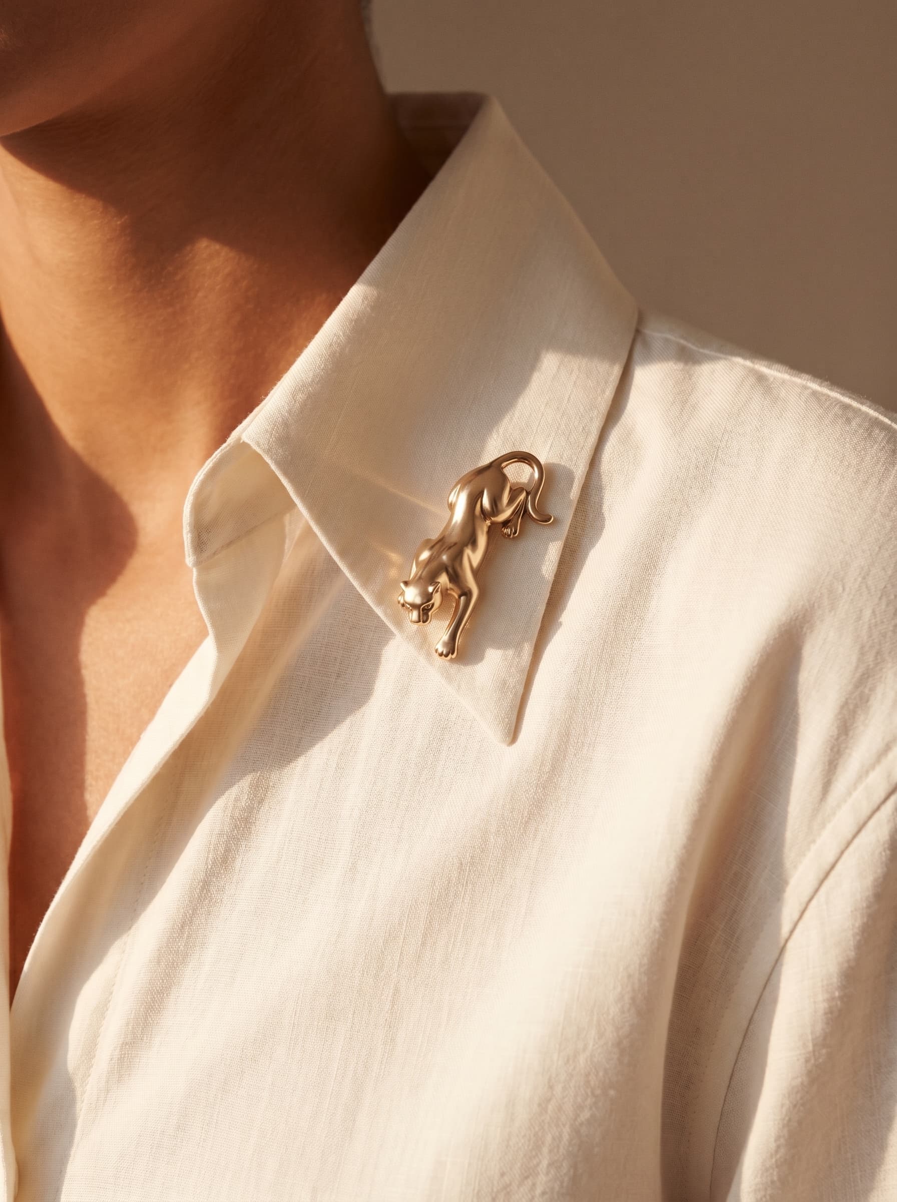 Brooch worn on Collar